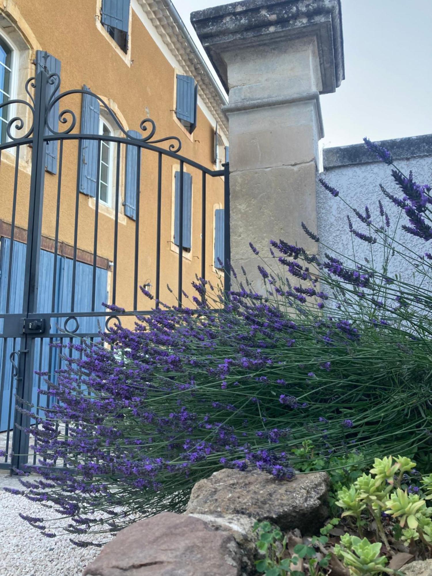 Domaine Forvent Saint-Julien-de-Peyrolas Exterior foto